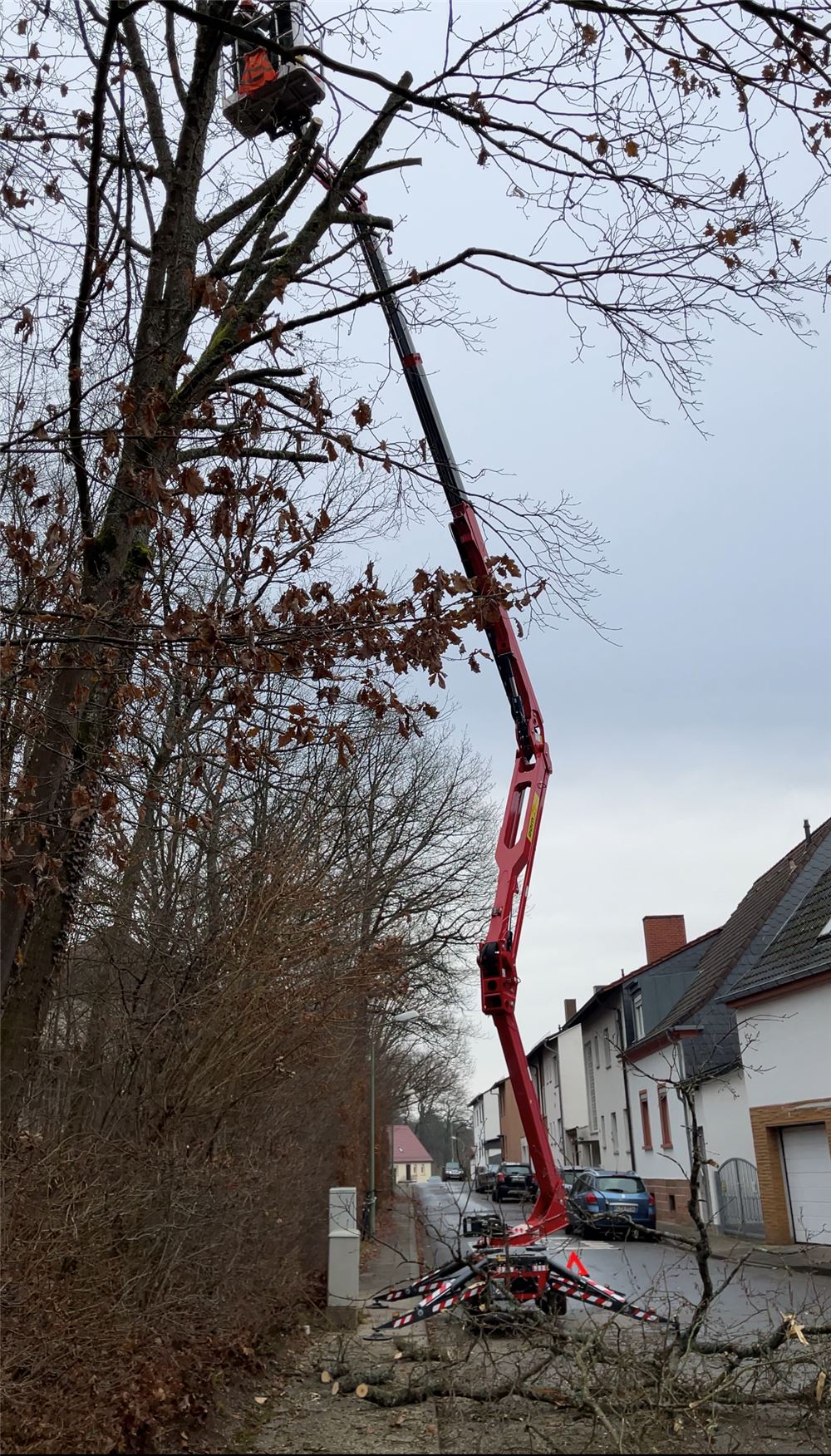 Baumfällung mit Hubsteiger