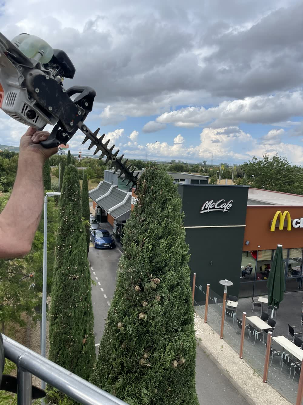 Zypressenschnitt beim Gewerbekunden