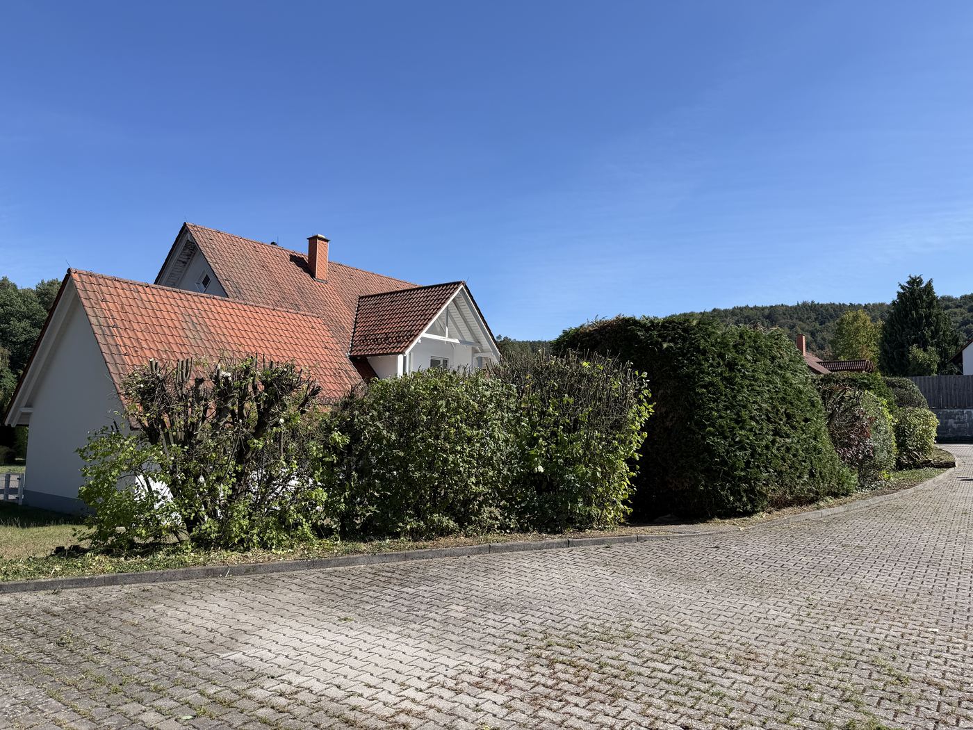 Dieselbe Hecke nach dem Rückschnitt, das Haus dahinter ist wieder frei