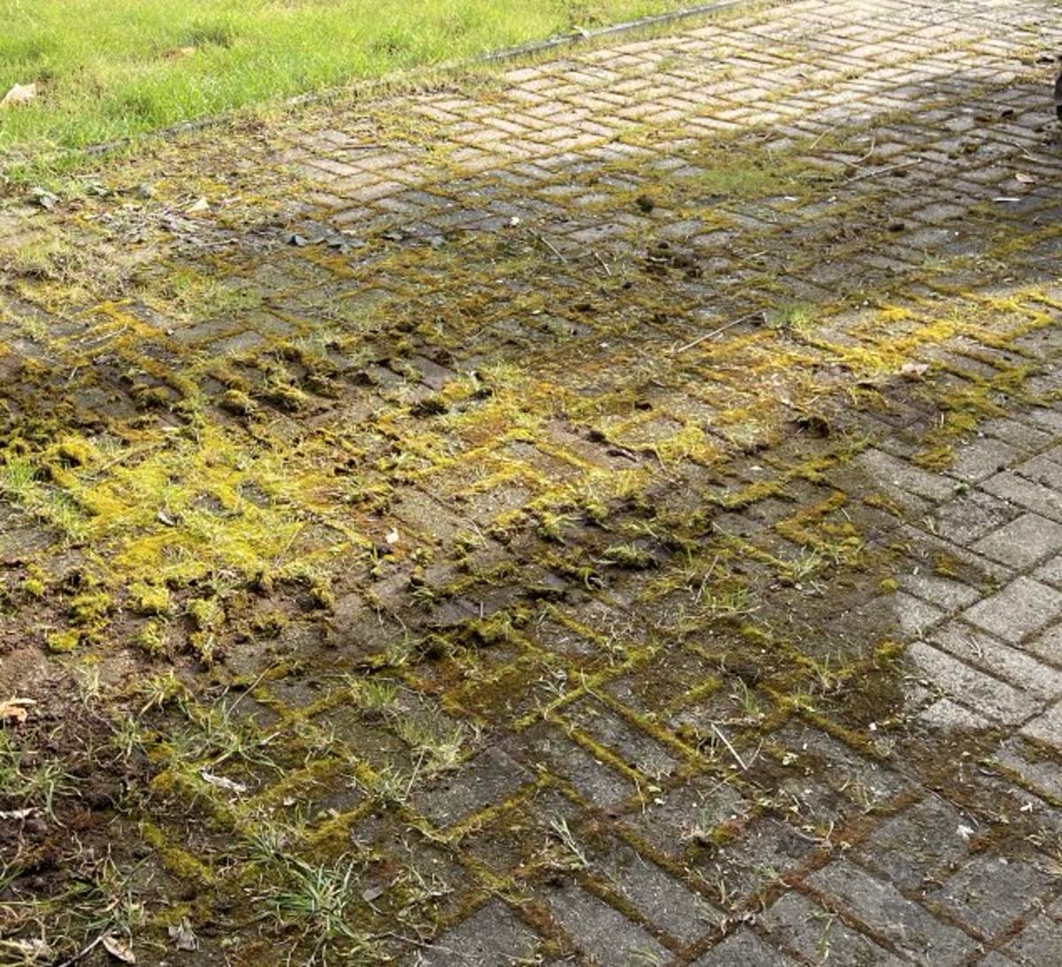 Pflaster vor der Reinigung